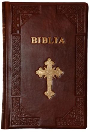 1322231891_bibliefatamaroauriucopy_43.350 Biblia 073 P HM