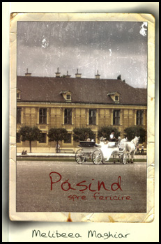 Pasind spre fericire