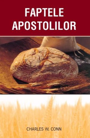 Faptele apostolilor