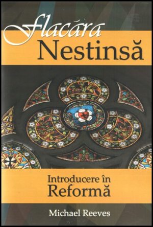 Flacara nestinsa