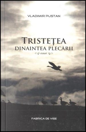 1322648202_tristetea_545 Tristetea dinaintea plecarii - eseuri