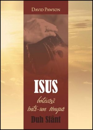 1324381195_isusboteaza_01_980 Isus botează într-un singur Duh Sfânt