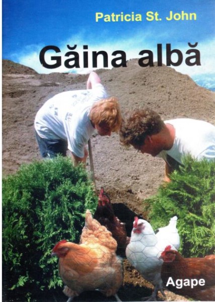 Gaina alba