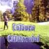 Calauza calatorului