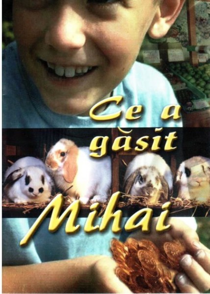 Ce a gasit Mihai