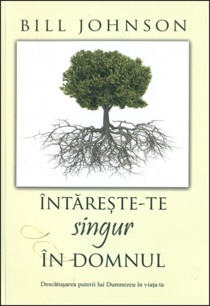 1342676176_intarestete01_1875 Intareste-te singur in Domnul