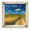 CD Puiu Chibici - Nu va-ngrijorati