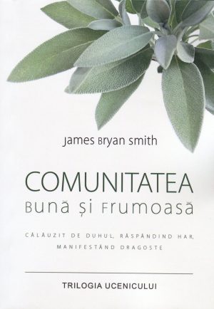 Comunitatea buna si frumoasa - Trilogia ucenicului