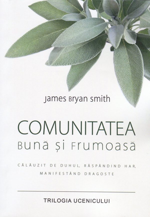 Comunitatea buna si frumoasa - Trilogia ucenicului