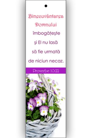 1437663672_s80_3210 S 80 - Proverbe 10:22