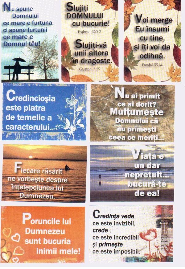 Set autocolante - SAVI 9