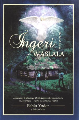Ingeri peste Waslala