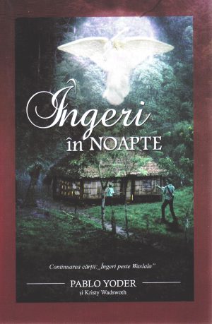 Ingeri in nopate (continuarea cartii Ingeri peste Waslala)