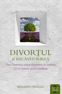 1536567006_divort_3154 Divortul si recasatorirea - Sinteze tematice vol.2