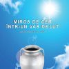Miros de cer intr-un vas de lut