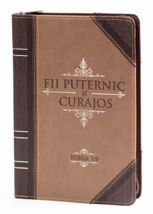 288351 Jurnal: Fii puternic si curajos