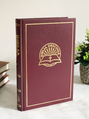 biblia_deschisa_cartonata Biblia Deschisă, copertă cartonată