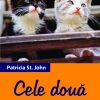 Cele două pisicuțe