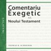 Comentariu exegetic al Noului Testament. Galateni