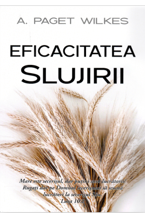 Eficacitatea slujirii
