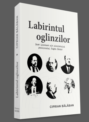 foto-coperta-pt-site_labirintul-oglinzilor Labirintul Oglinzilor