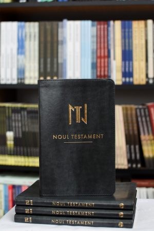 nt.sbr_.griinchis Noul testament SBR (NT-SBR) gri închis