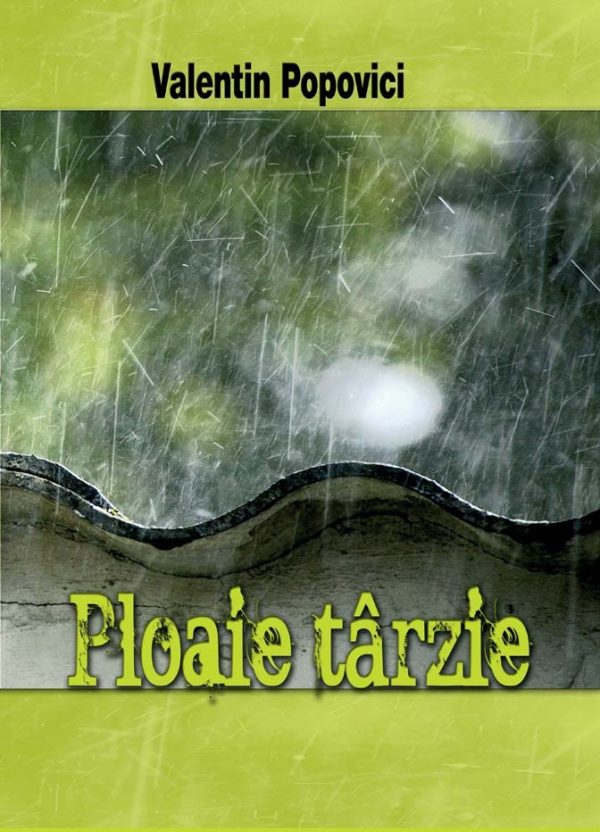 Ploaie tarzie - Valentin Popovici